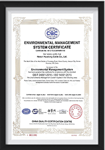 certificate-01